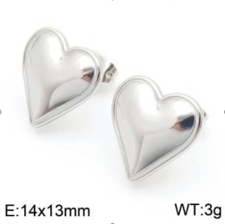 Stainless steel jewelry Earrings wholesale