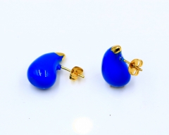 Stainless steel jewelry Earrings wholesale