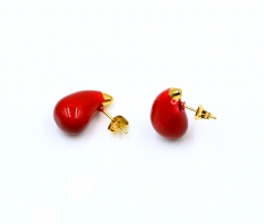 Stainless steel jewelry Earrings wholesale
