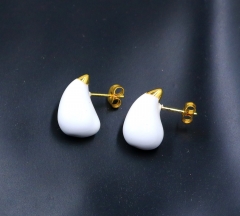 Stainless steel jewelry Earrings wholesale