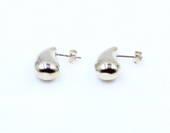Stainless steel jewelry Earrings wholesale