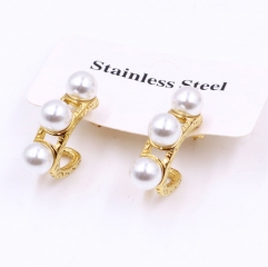 Stainless steel jewelry Earrings wholesale