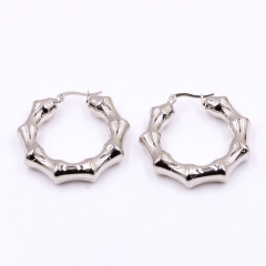 Stainless steel jewelry Earrings wholesale