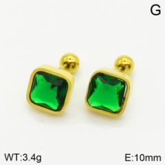 Stainless steel jewelry Earrings wholesale
