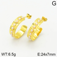 Stainless steel jewelry Earrings wholesale