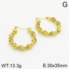 Stainless steel jewelry Earrings wholesale