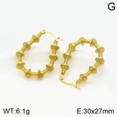 Stainless steel jewelry Earrings wholesale