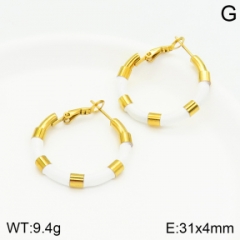 Stainless steel jewelry Earrings wholesale