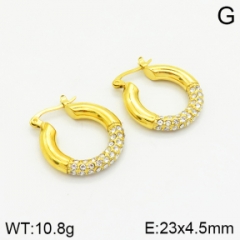 Stainless steel jewelry Earrings wholesale