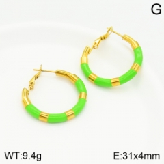 Stainless steel jewelry Earrings wholesale