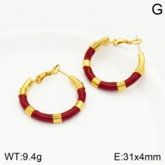 Stainless steel jewelry Earrings wholesale