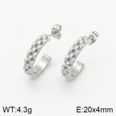 Stainless steel jewelry Earrings wholesale