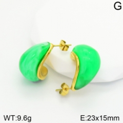 Stainless steel jewelry Earrings wholesale