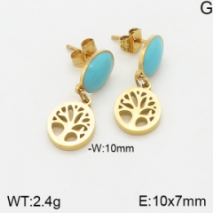 Stainless steel jewelry Earrings wholesale