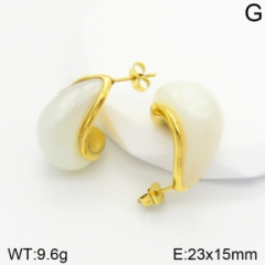 Stainless steel jewelry Earrings wholesale