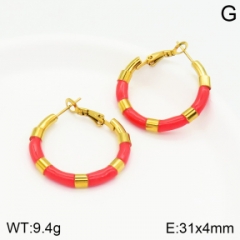 Stainless steel jewelry Earrings wholesale