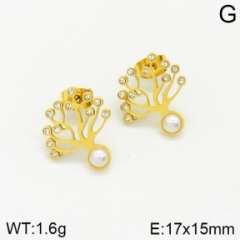 Stainless steel jewelry Earrings wholesale