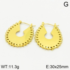 Stainless steel jewelry Earrings wholesale