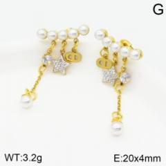 Stainless steel jewelry Earrings wholesale