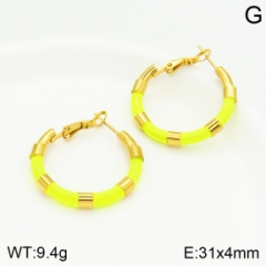 Stainless steel jewelry Earrings wholesale