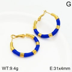 Stainless steel jewelry Earrings wholesale
