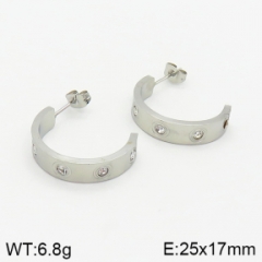 Stainless steel jewelry Earrings wholesale