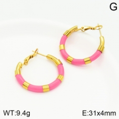 Stainless steel jewelry Earrings wholesale