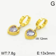 Stainless steel jewelry Earrings wholesale