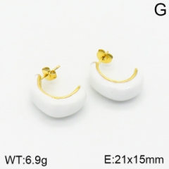 Stainless steel jewelry Earrings wholesale