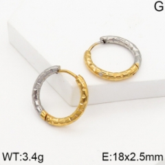 Stainless steel jewelry Earrings wholesale