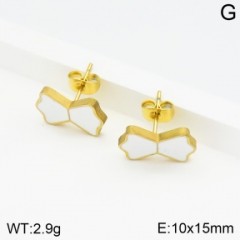 Stainless steel jewelry Earrings wholesale