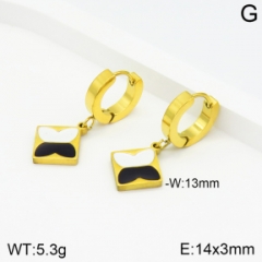 Stainless steel jewelry Earrings wholesale