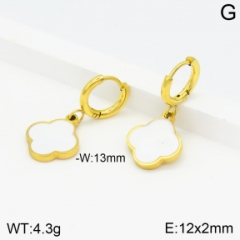 Stainless steel jewelry Earrings wholesale