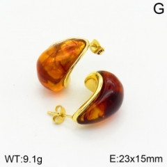 Stainless steel jewelry Earrings wholesale