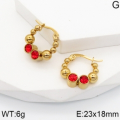 Stainless steel jewelry Earrings wholesale