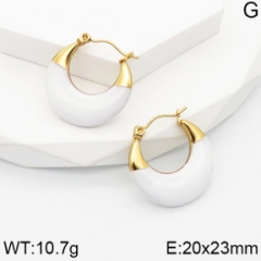 Stainless steel jewelry Earrings wholesale