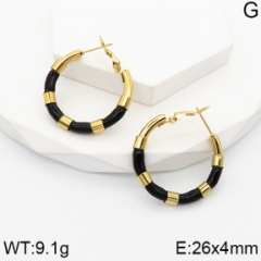 Stainless steel jewelry Earrings wholesale