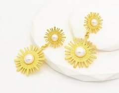 Stainless steel jewelry Earrings wholesale