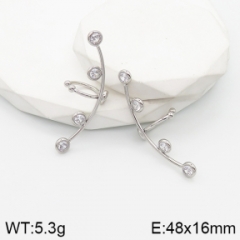 Stainless steel jewelry Earrings wholesale
