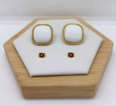 Stainless steel jewelry Earrings wholesale