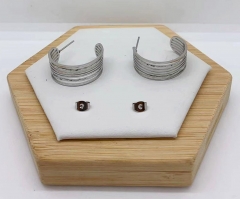 Stainless steel jewelry Earrings wholesale