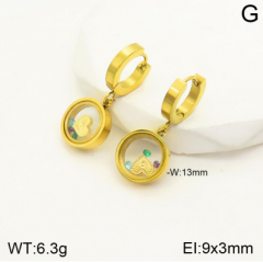 Stainless steel jewelry Earrings wholesale