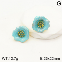 Stainless steel jewelry Earrings wholesale
