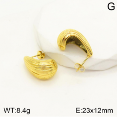 Stainless steel jewelry Earrings wholesale