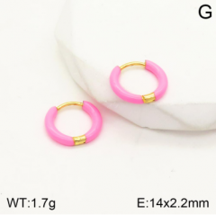 Stainless steel jewelry Earrings wholesale