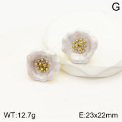 Stainless steel jewelry Earrings wholesale