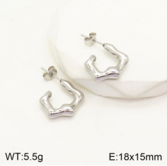 Stainless steel jewelry Earrings wholesale