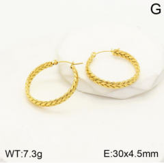 Stainless steel jewelry Earrings wholesale
