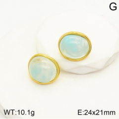 Stainless steel jewelry Earrings wholesale