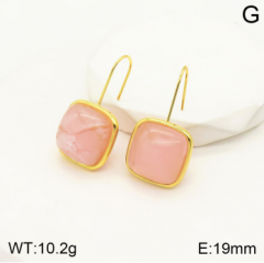 Stainless steel jewelry Earrings wholesale